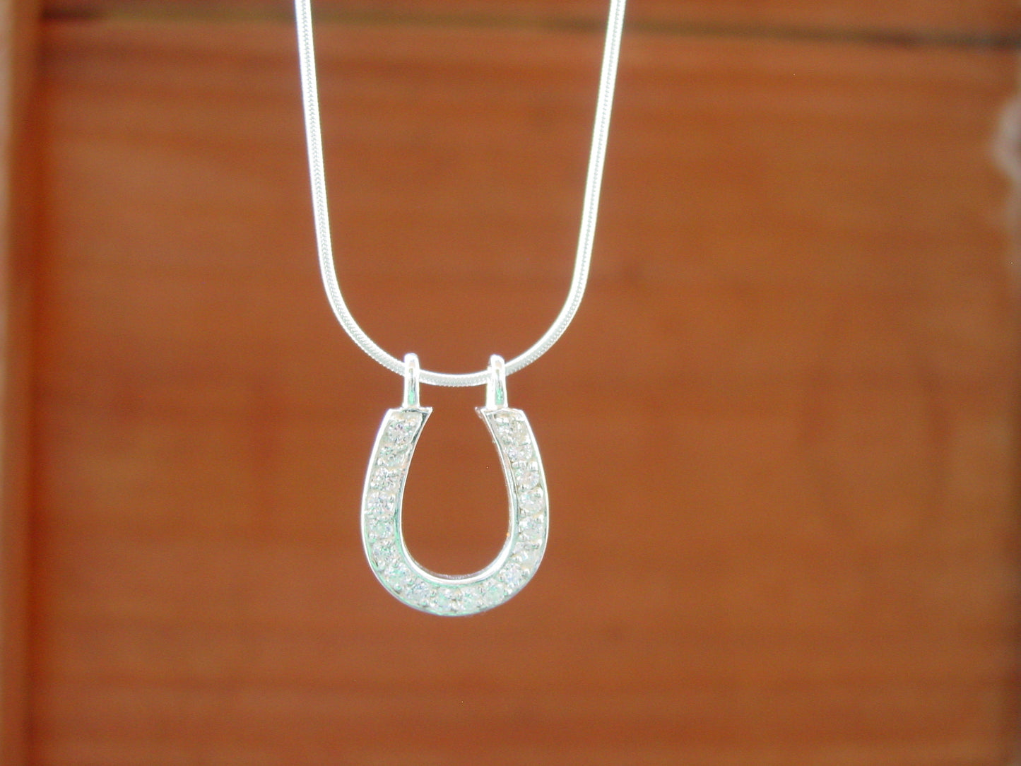 horseshoe necklace