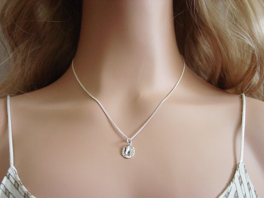 horse head in horseshoe necklace