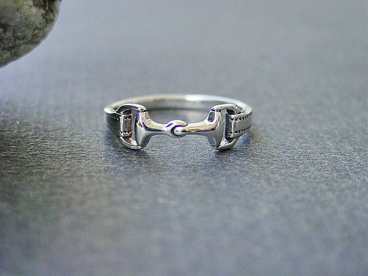 horse ring
