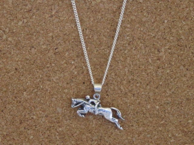 show jumper horse