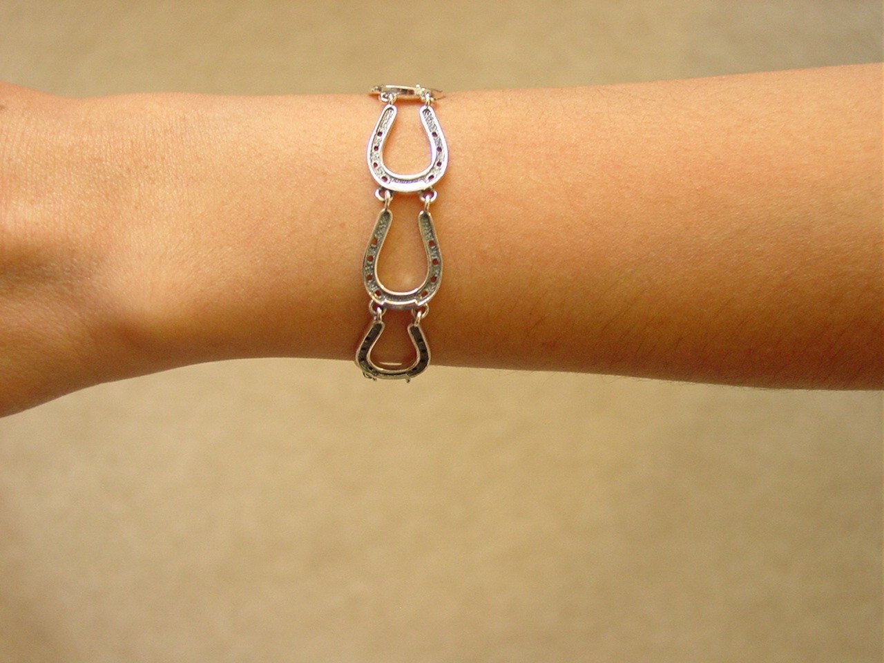 horseshoe silver