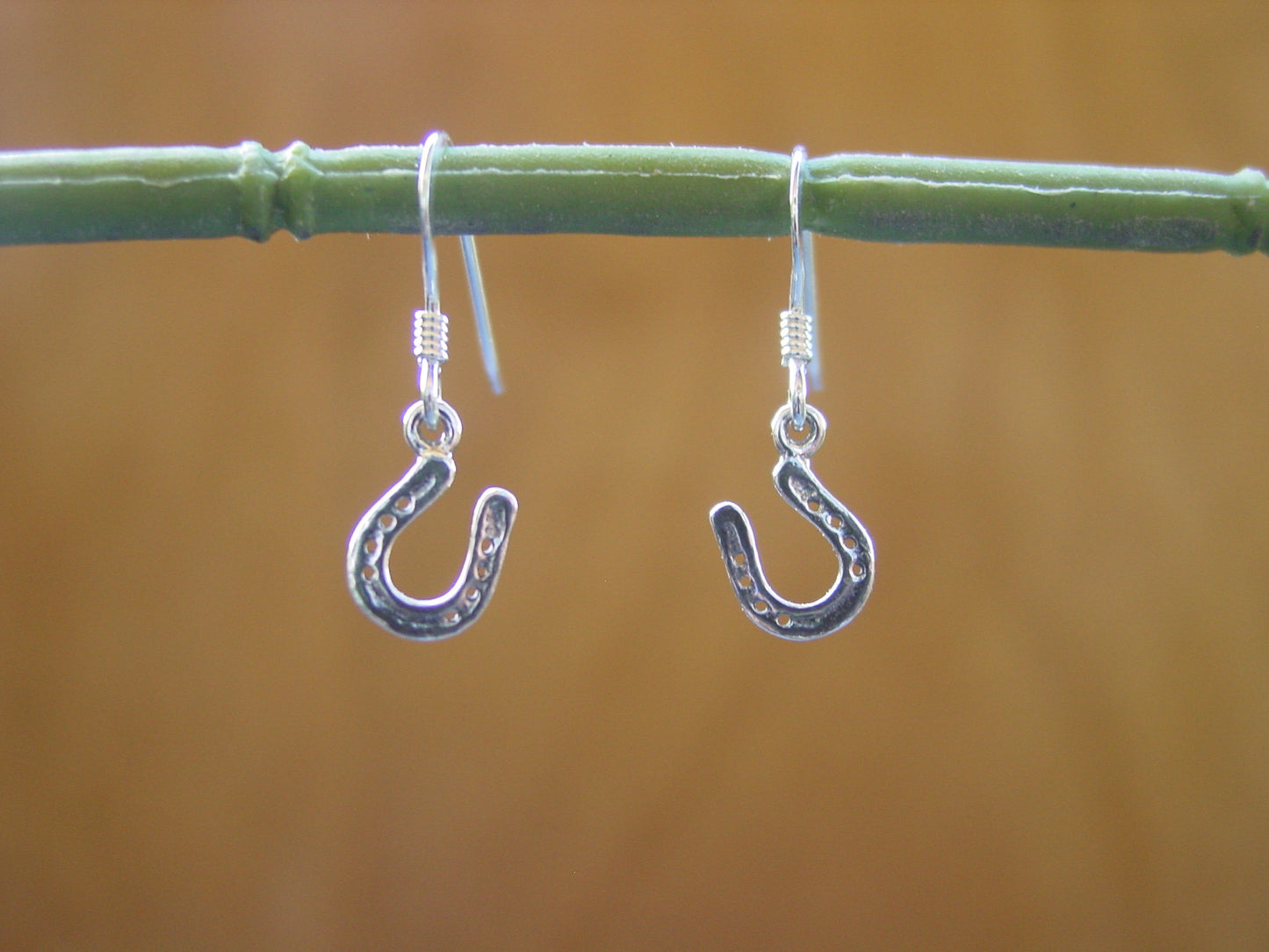 horse shoe silver