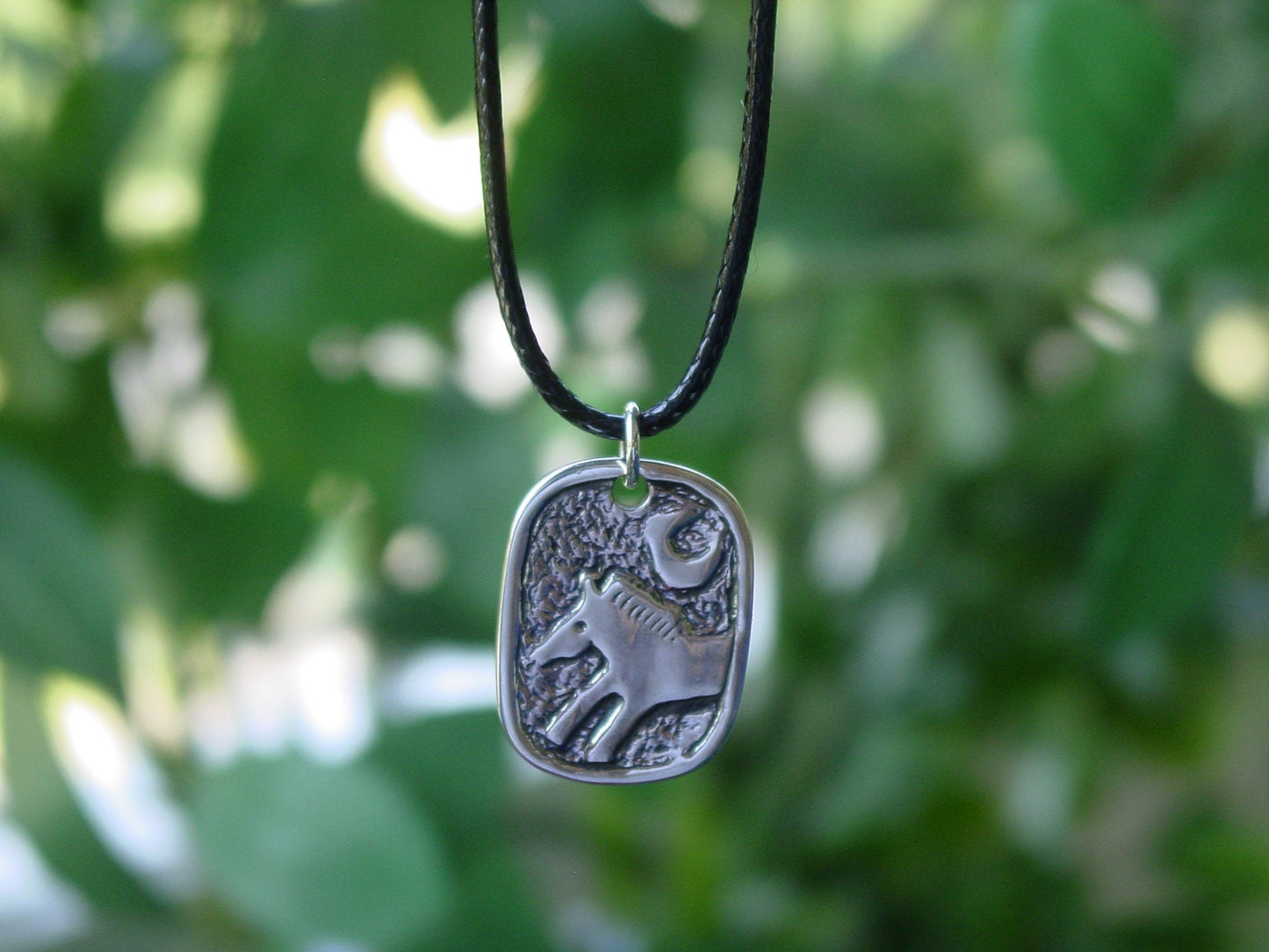 Indian horse Horseshoe silver