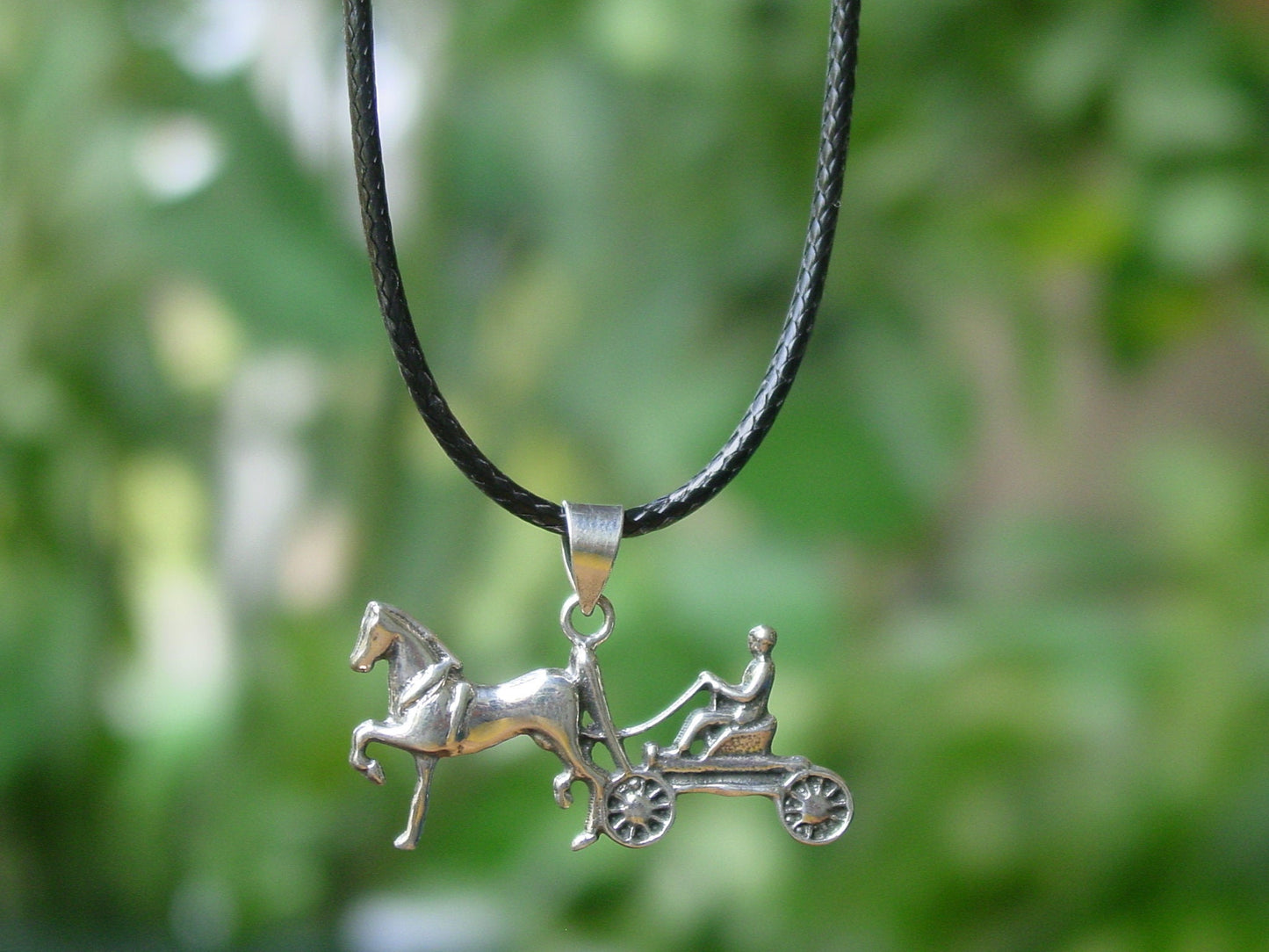 horse carriage jewelry