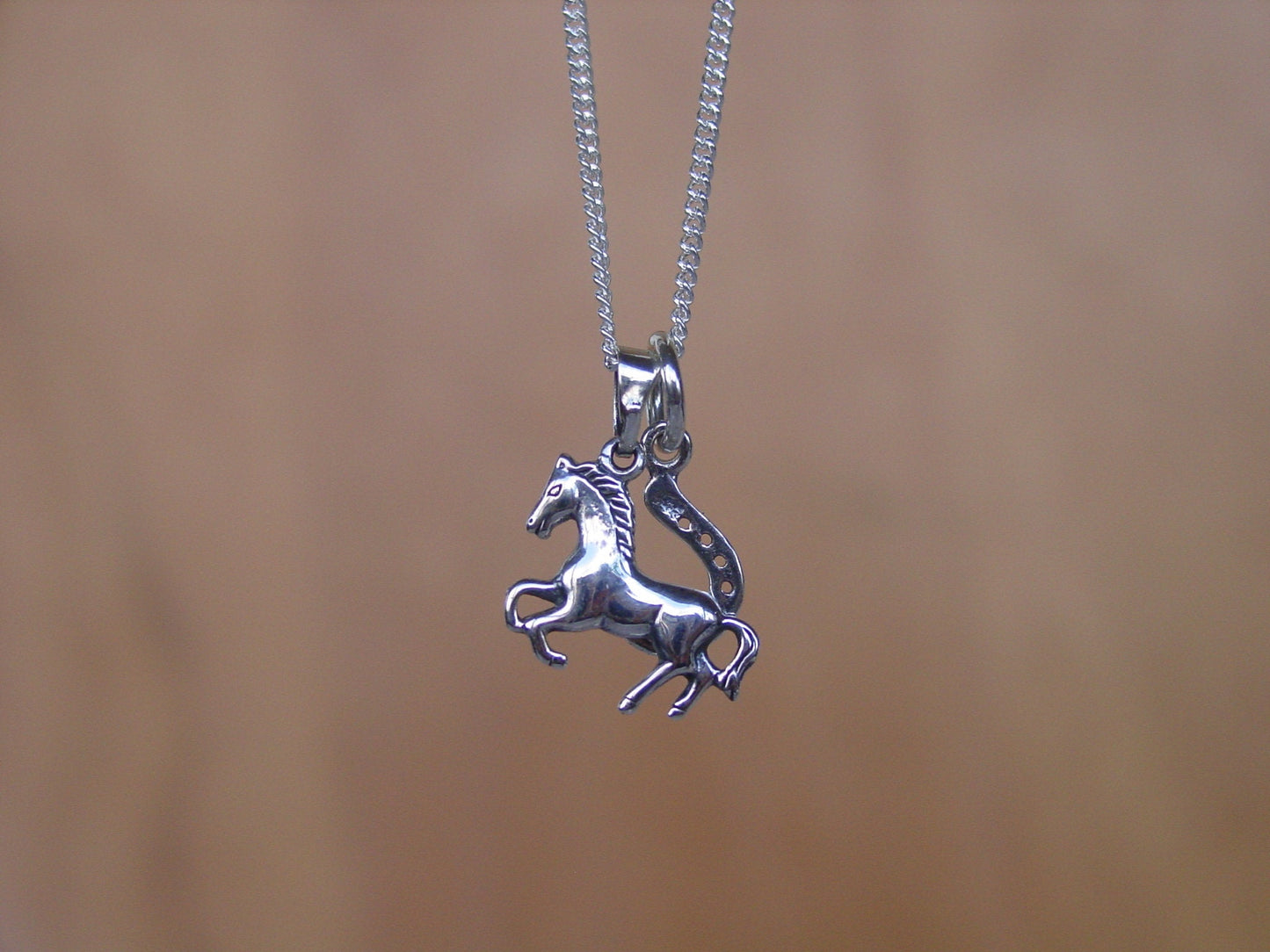 horse horseshoe silver
