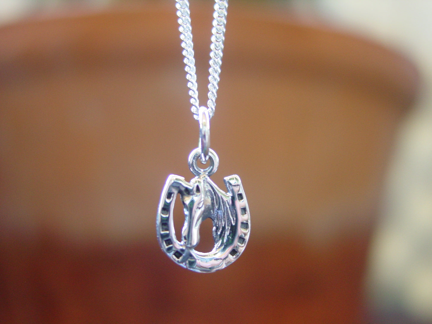 horseshoe pendant