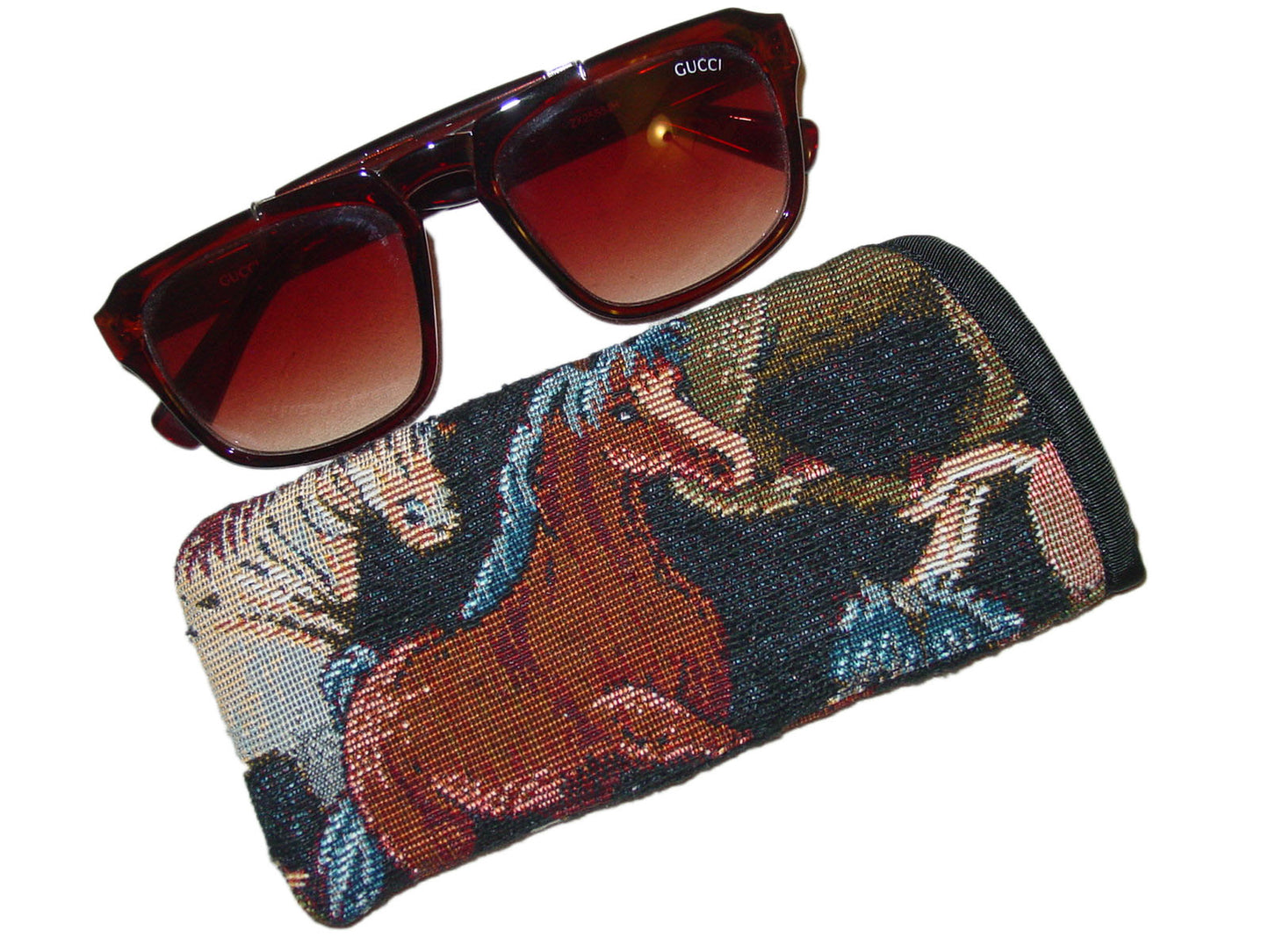 equestrian sun glasses case