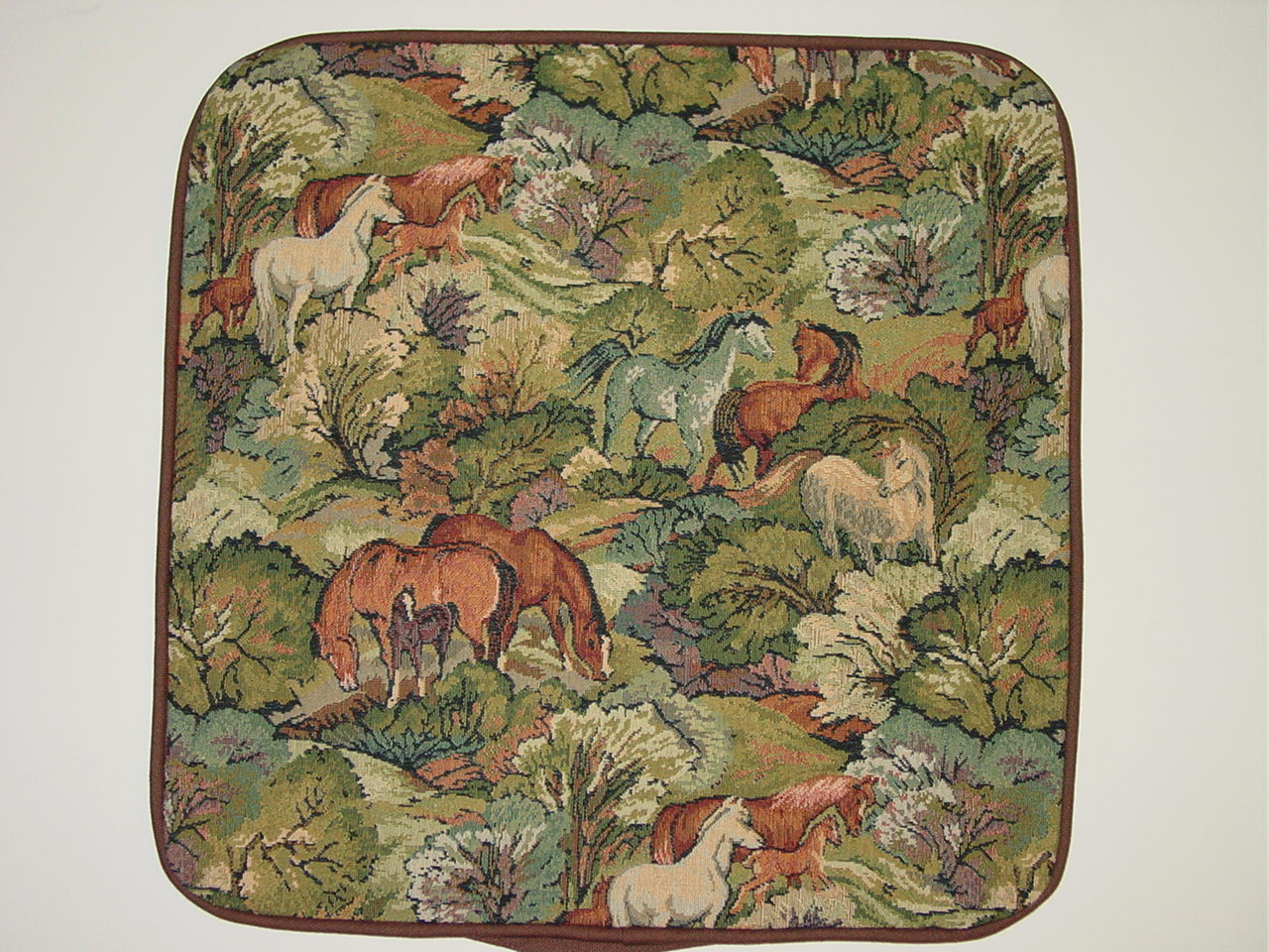 Horse Decorative Pillow Cases