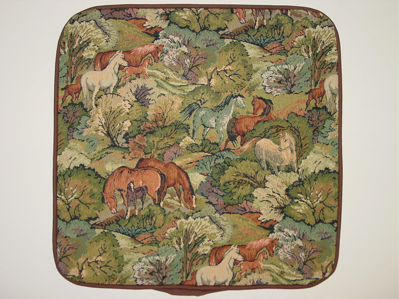 Horse Decorative Pillow Cases