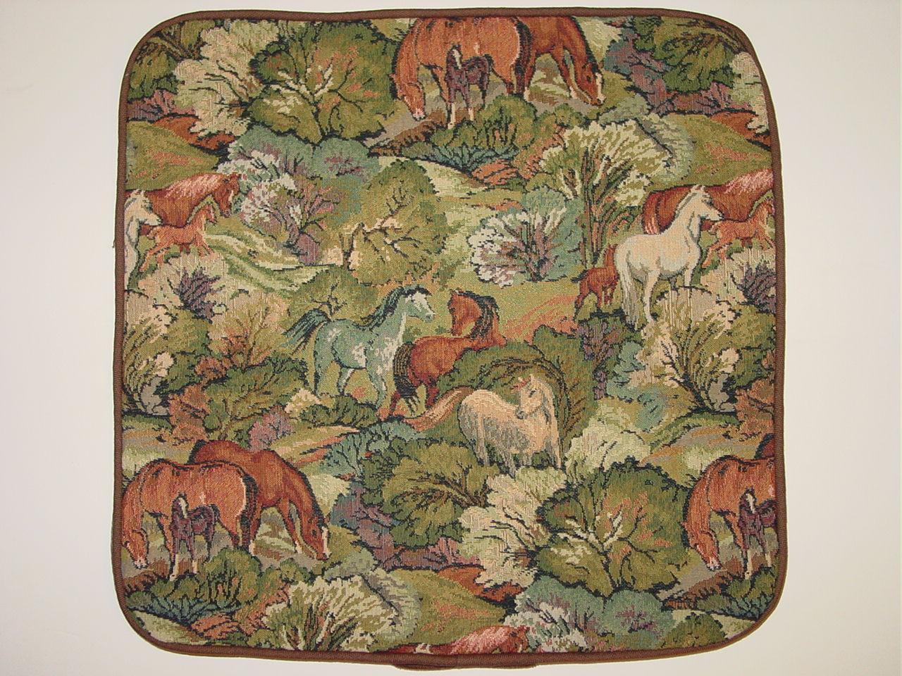 Horse Decorative Pillow Cases