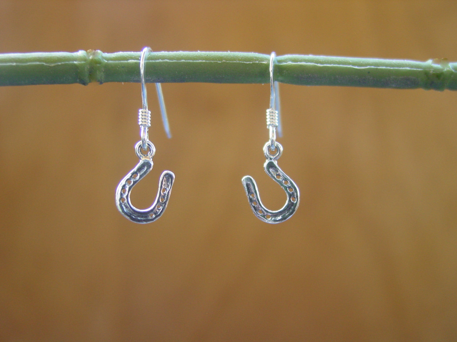 horseshoe silver earrings