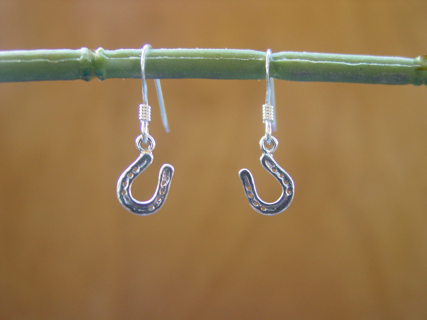 lucky horseshoe earrings