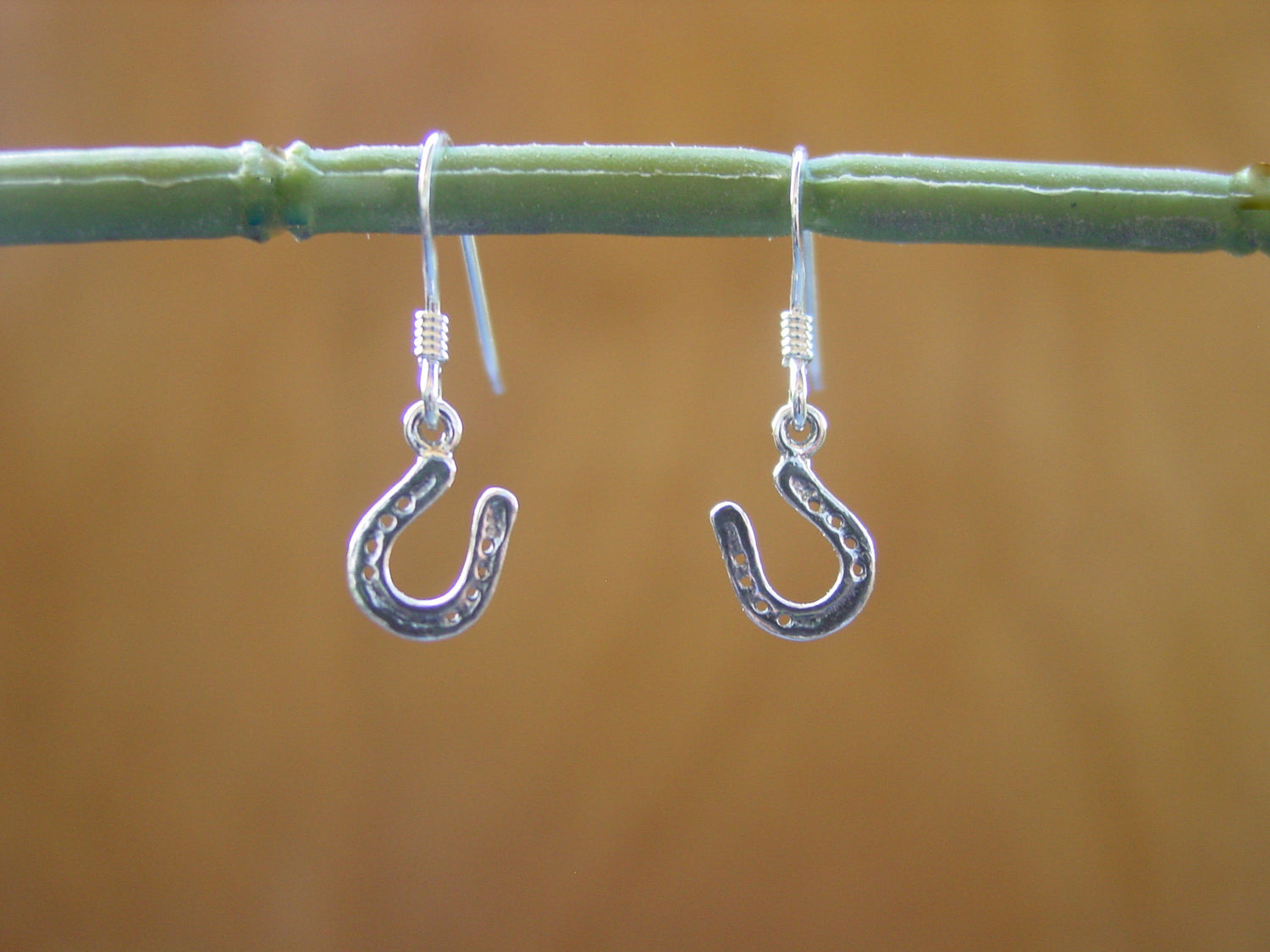 lucky horseshoe earrings