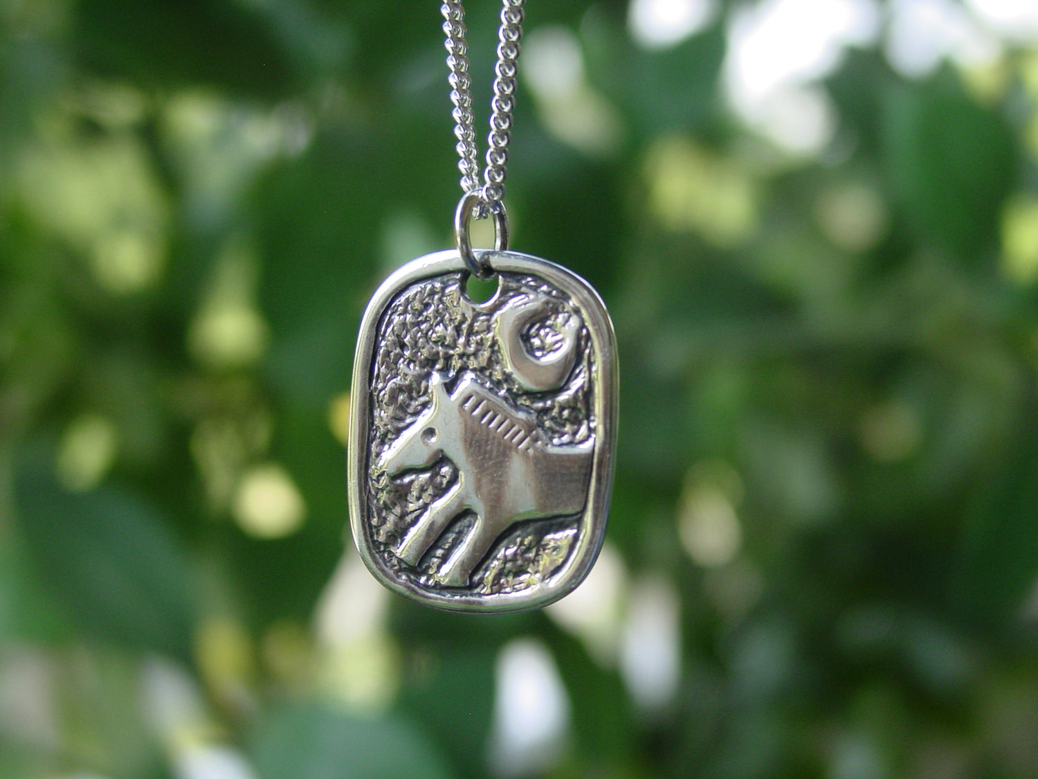 horseshoe moon jewelry