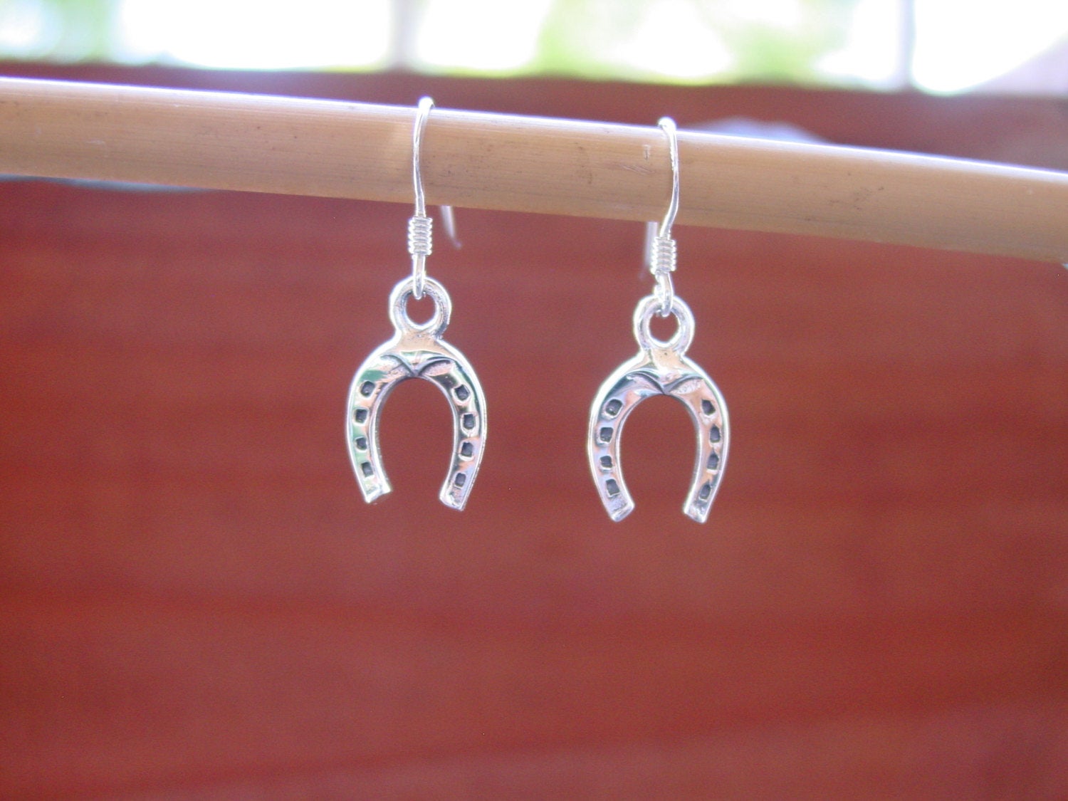 Horseshoe Silver Earrings Jewelry