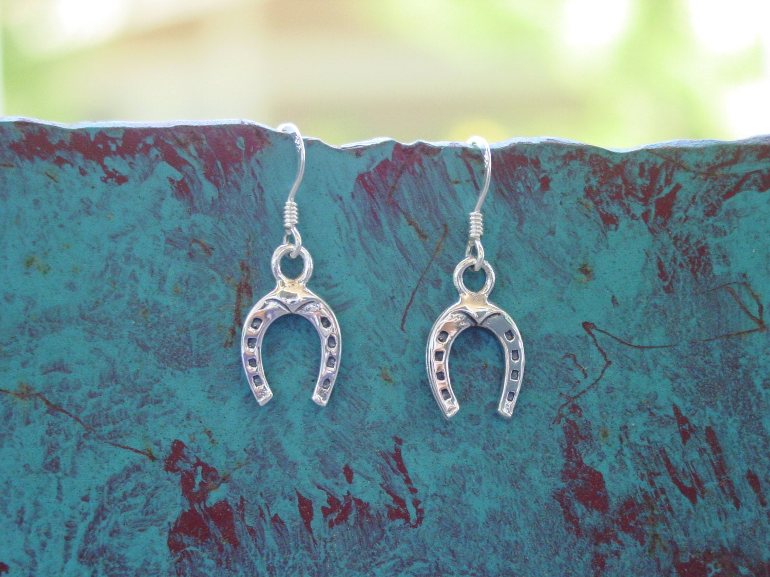 Horseshoe Silver Earrings 