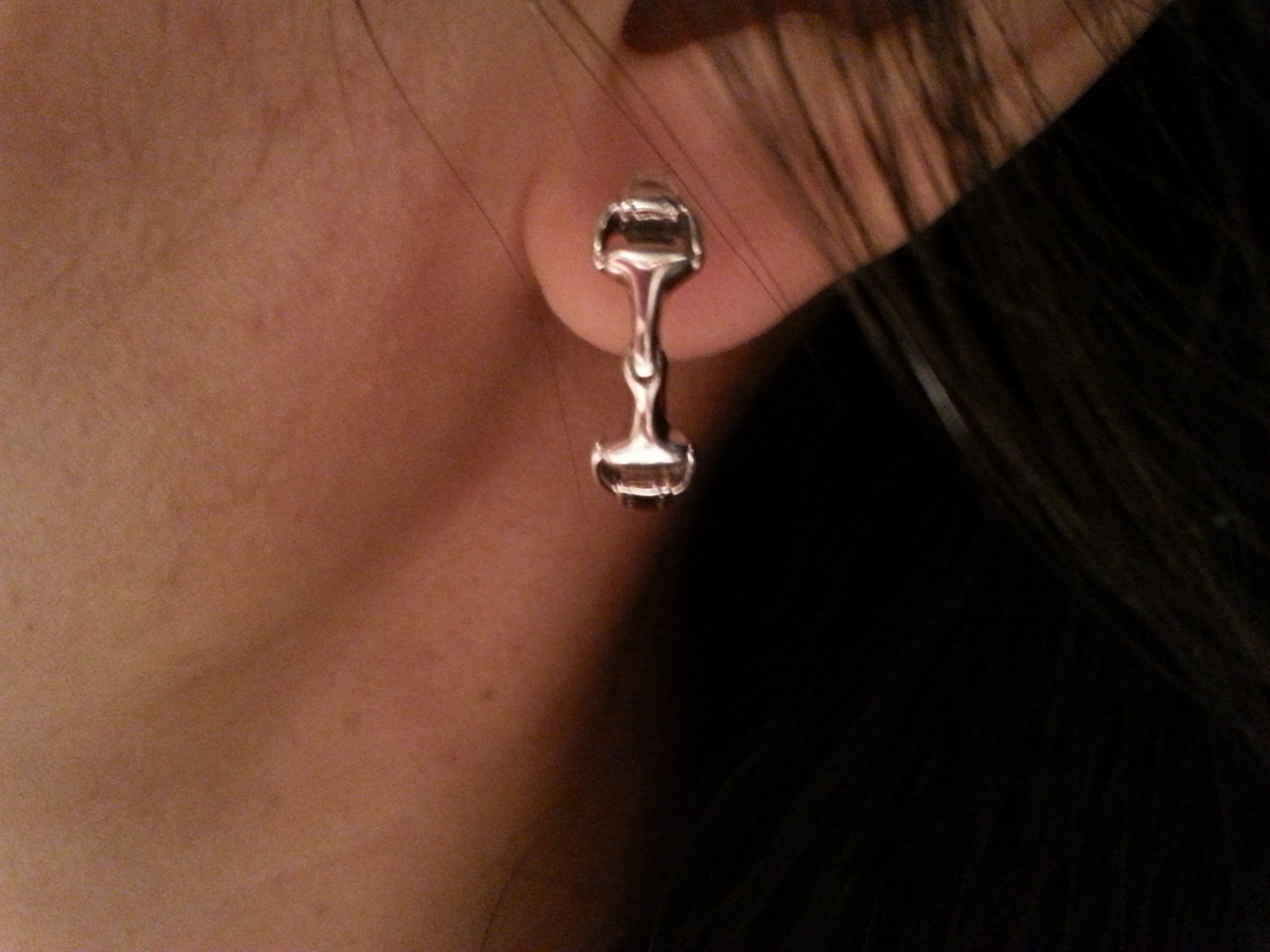 equestrian bit earrings