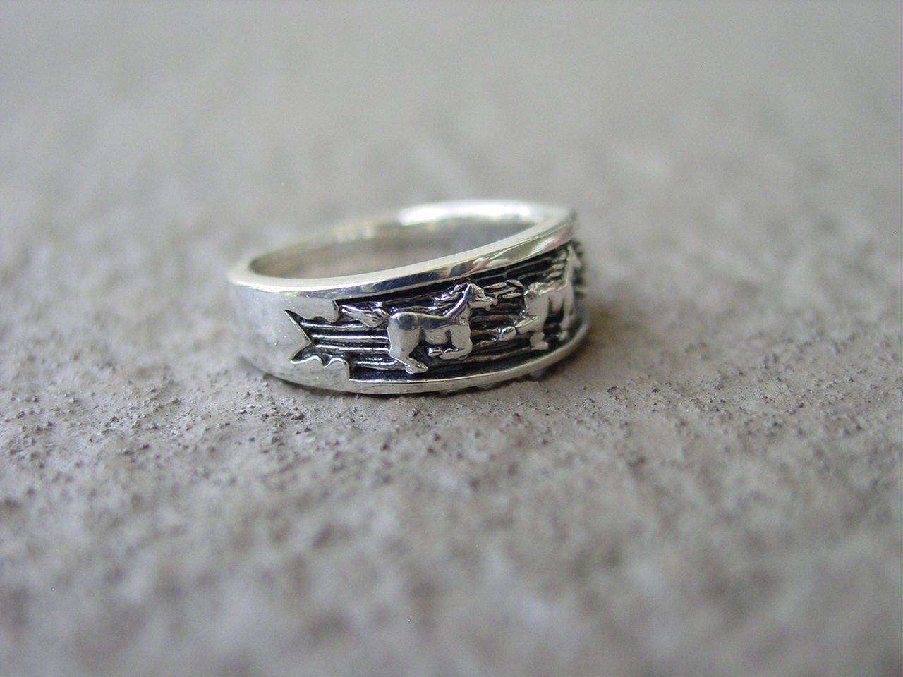 equestrian ring