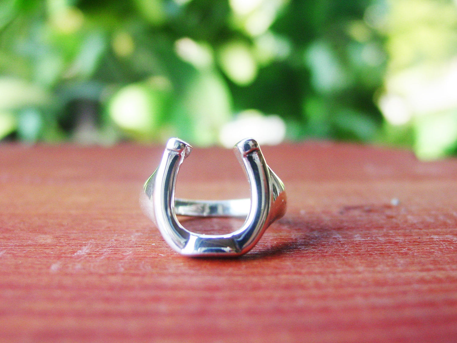 equestrian ring