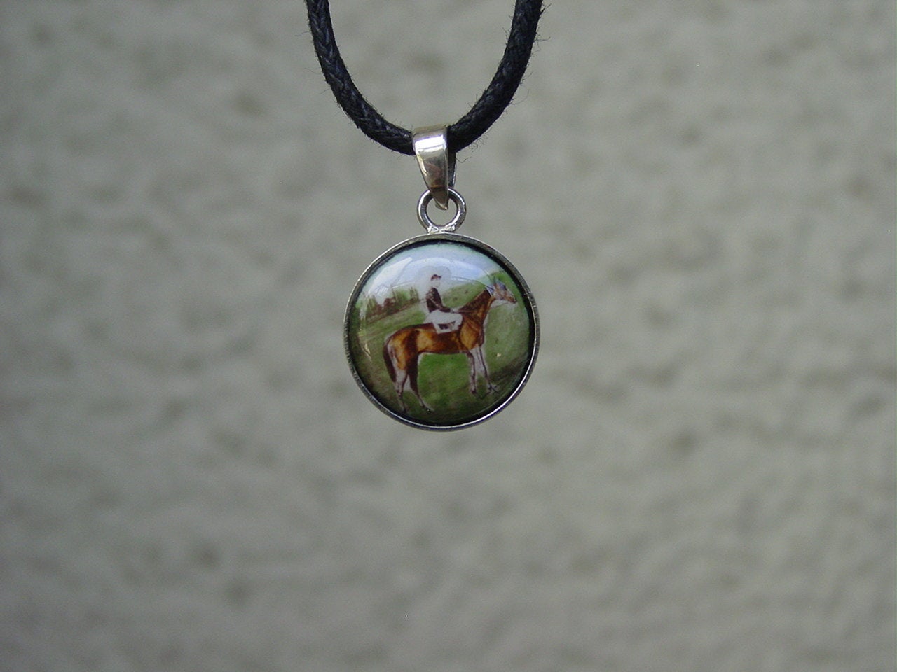 equine enamel silver