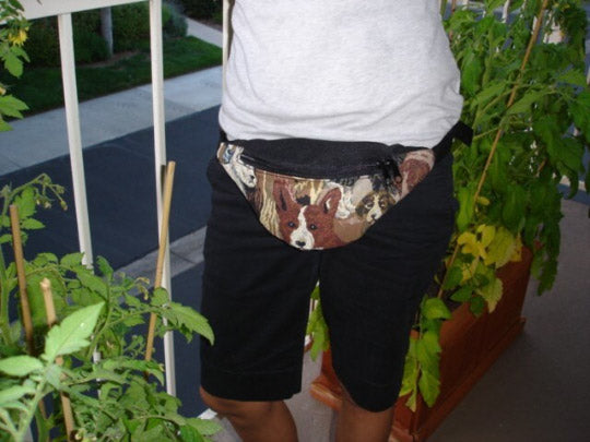 fanny pack