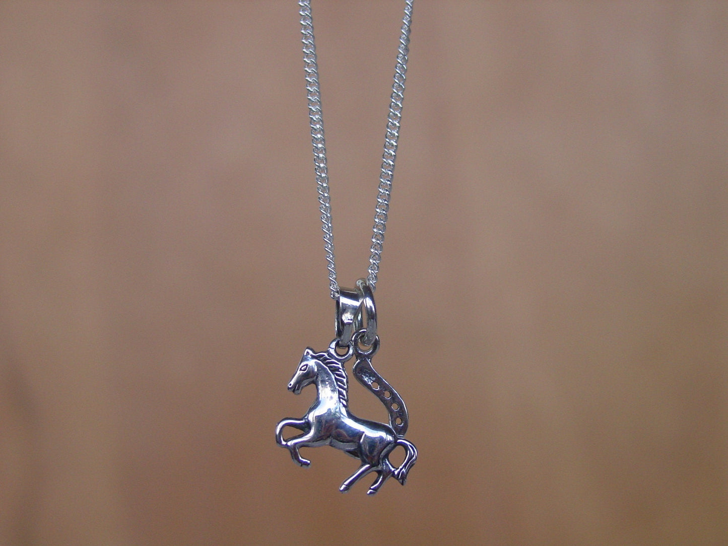 horseshoe jewelry