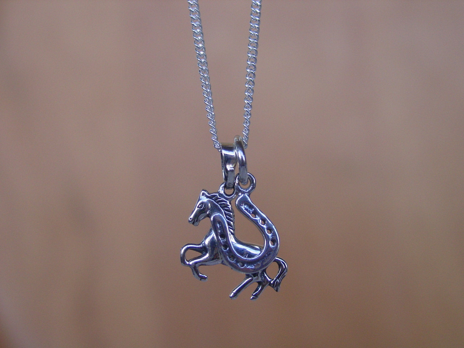 horseshoe pendant