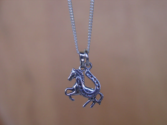 horseshoe pendant