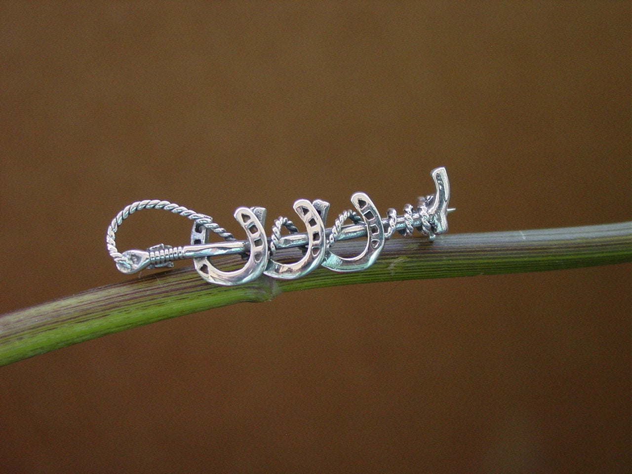 horseshoe pin