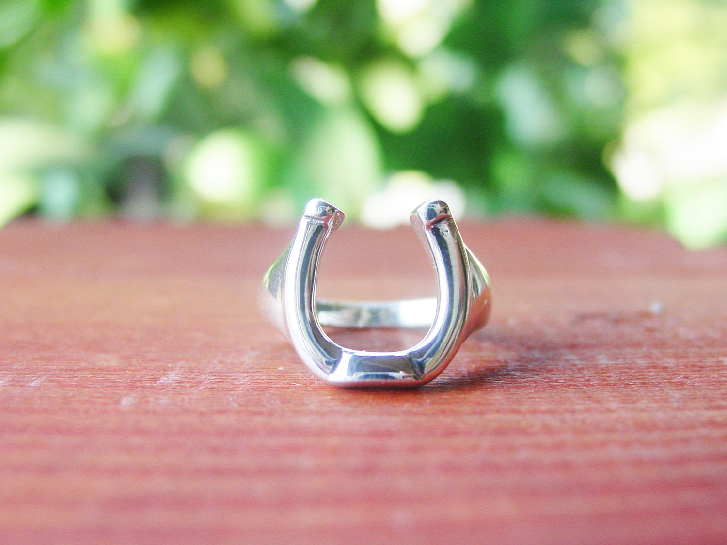 horseshoe ring
