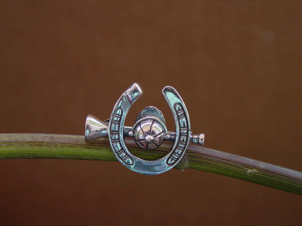 horseshoe pin silver