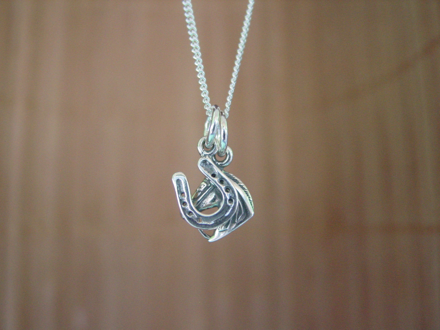 horseshoe pendant