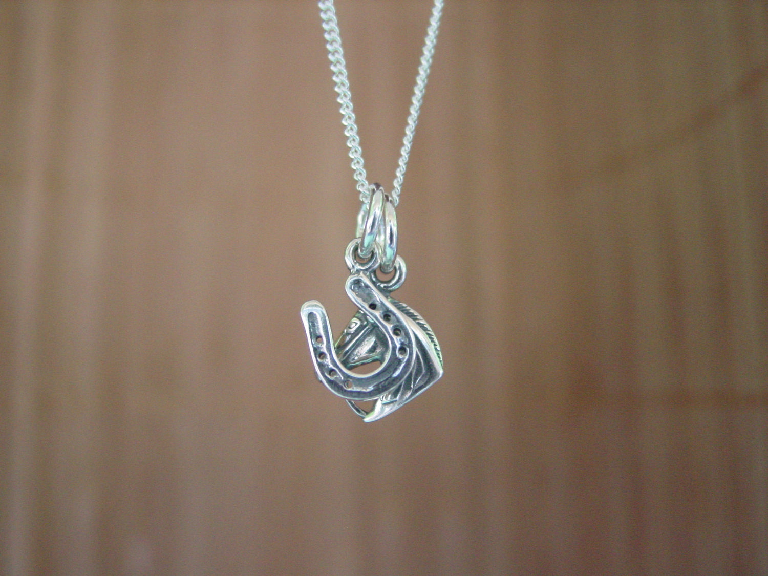 horseshoe pendant