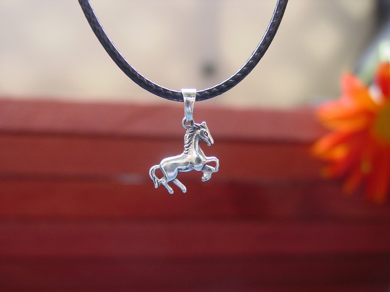 equestrian silver