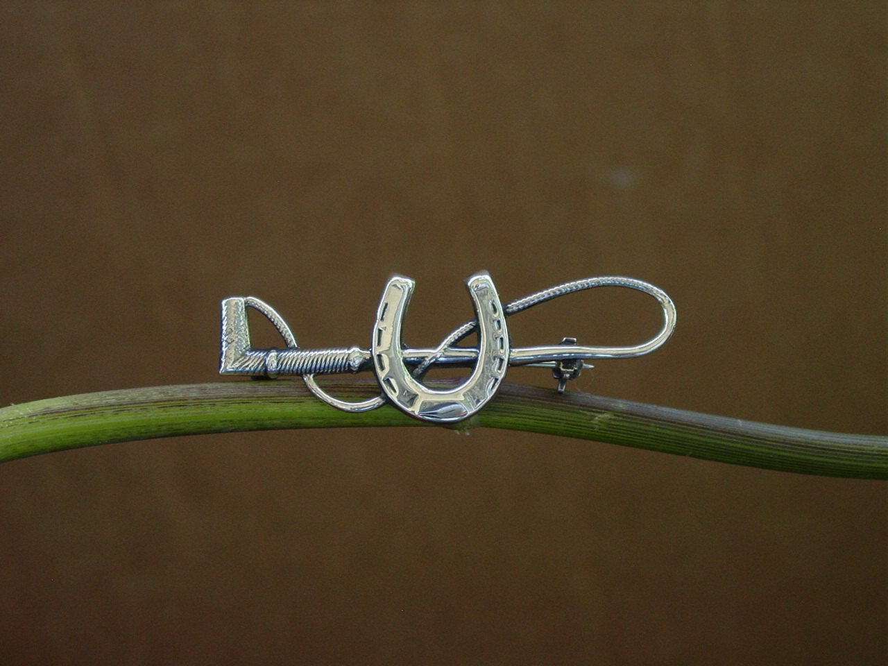 horse shoe jewelry pin